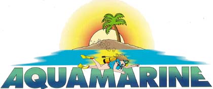 AQUAMARINE - Vanuatu diving offers some of the best variety in diving to be found anywhere in the world, wreck diving, coral exploring, and even shark feeding are just some of the dives offered by Aquamarine. Since
1988 Kevin and Mayumi Green have developed a professional and personalised
diving service for divers looking for that something different in their
diving holiday. Aquamarine offers daily scuba dives to the SS President
Coolidge, sunk in WW11 and the largest accessible wreck dive in the world
(202m x 25m) 654' x 81'. The pages provide information on The SS President
Coolidge, other wreck dives in the area, wreck diving, deep diving,
Aquamarine services, shark feeding, prices, seasons, dive site discriptions,
non diving activities, accommodations.